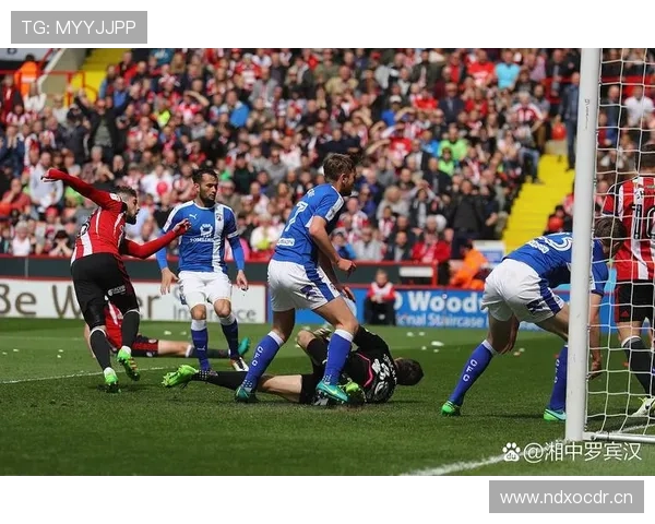 安东尼·埃兰加在英超赛季中表现稳健，逐渐成为备受关注的年轻明星