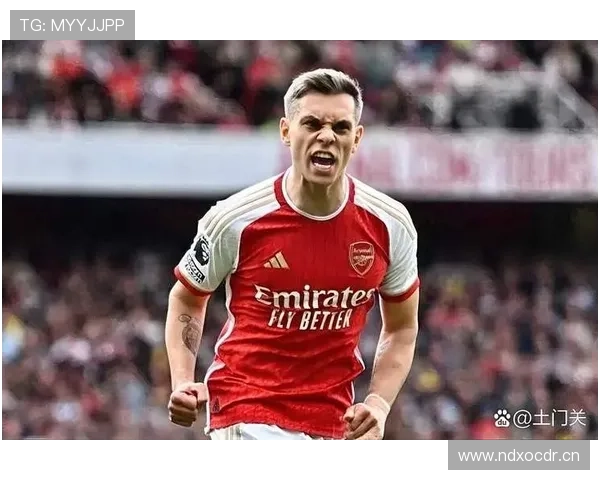 特罗萨德与格拉利什：效率型与控球型边锋的战术角色对比