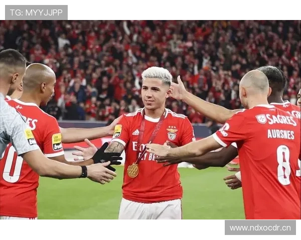 恩佐是否需要更强队友？战术适配与体系支撑解析