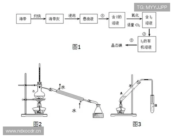 五分钟快速搞懂篮球裁判判罚流程的完整步骤