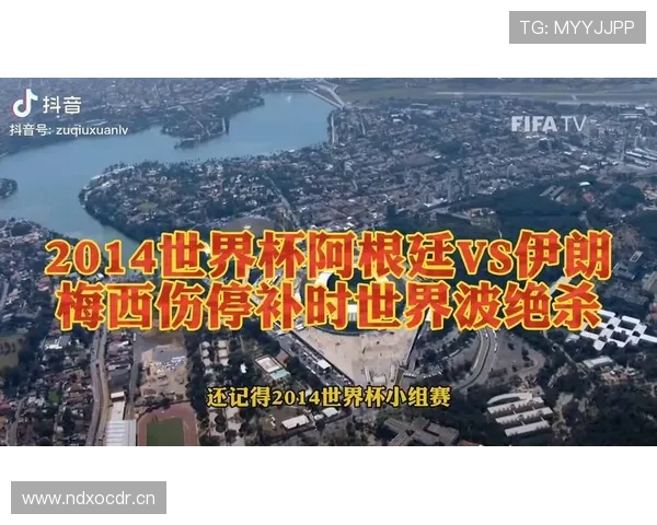 世界杯L组赛后点评与复盘